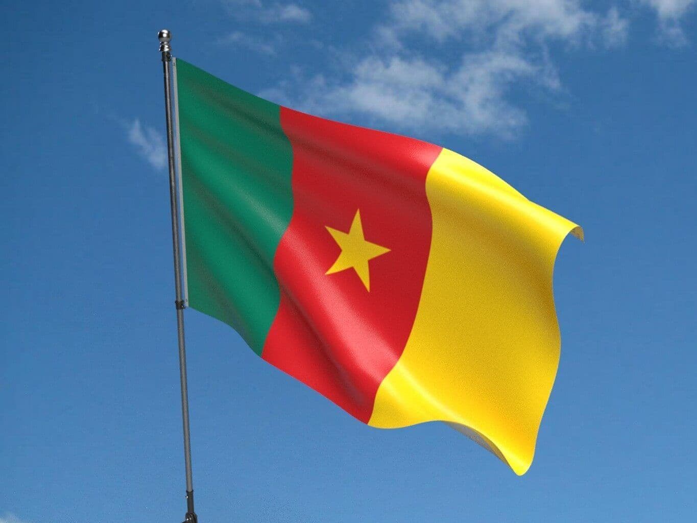 Cameroon's flag